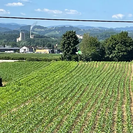 Apartamento Ferienwohnung- Südsteirischer Traum Wagendorf