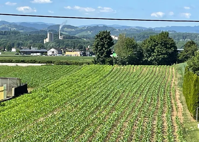 Apartamento Ferienwohnung- Südsteirischer Traum Wagendorf